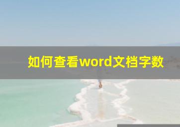 如何查看word文档字数