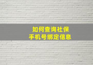 如何查询社保手机号绑定信息