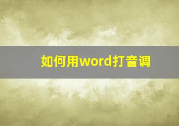 如何用word打音调