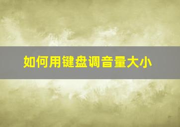 如何用键盘调音量大小