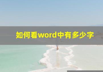 如何看word中有多少字