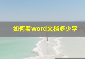 如何看word文档多少字