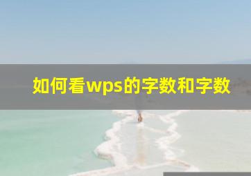 如何看wps的字数和字数