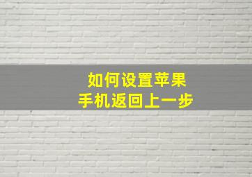 如何设置苹果手机返回上一步