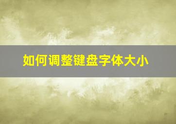 如何调整键盘字体大小