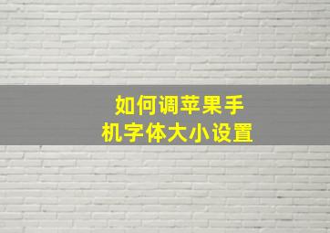 如何调苹果手机字体大小设置