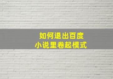 如何退出百度小说里卷起模式