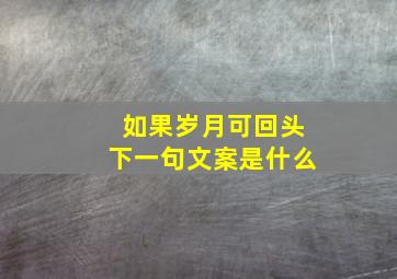 如果岁月可回头下一句文案是什么