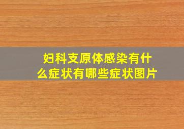 妇科支原体感染有什么症状有哪些症状图片