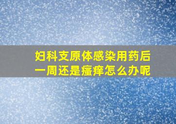 妇科支原体感染用药后一周还是瘙痒怎么办呢