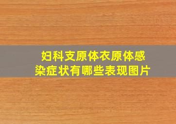 妇科支原体衣原体感染症状有哪些表现图片