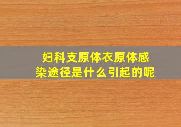 妇科支原体衣原体感染途径是什么引起的呢