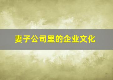 妻子公司里的企业文化