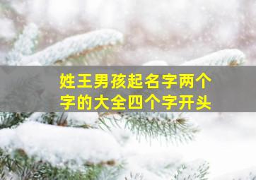 姓王男孩起名字两个字的大全四个字开头