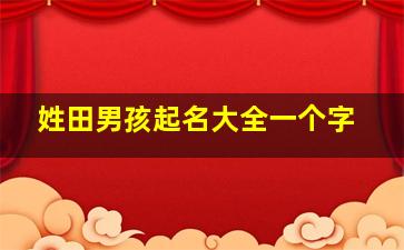 姓田男孩起名大全一个字