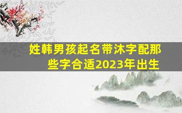 姓韩男孩起名带沐字配那些字合适2023年出生