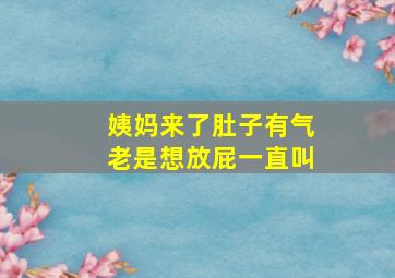 姨妈来了肚子有气老是想放屁一直叫