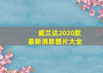 威兰达2020款最新消息图片大全