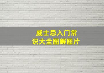 威士忌入门常识大全图解图片