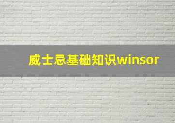 威士忌基础知识winsor