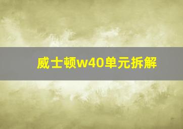 威士顿w40单元拆解