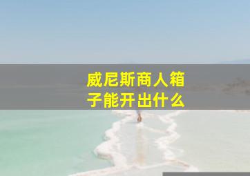 威尼斯商人箱子能开出什么