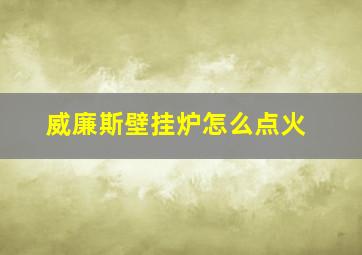 威廉斯壁挂炉怎么点火