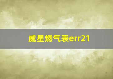 威星燃气表err21