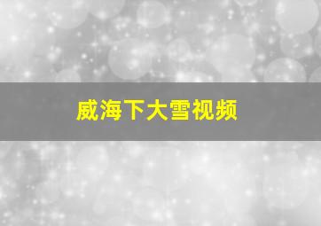 威海下大雪视频