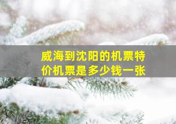 威海到沈阳的机票特价机票是多少钱一张