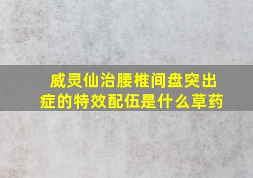 威灵仙治腰椎间盘突出症的特效配伍是什么草药