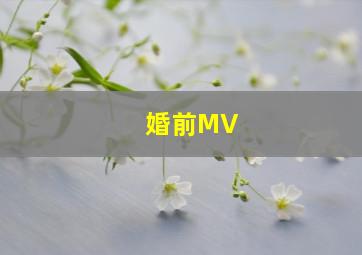 婚前MV