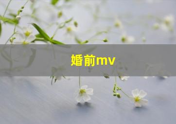 婚前mv