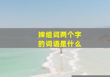 婶组词两个字的词语是什么