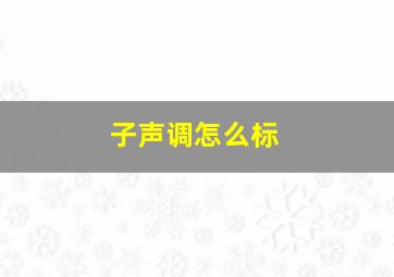 子声调怎么标