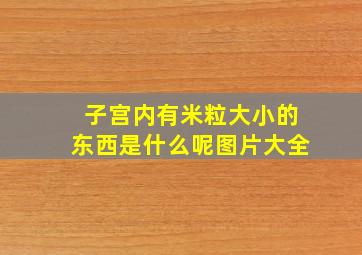 子宫内有米粒大小的东西是什么呢图片大全