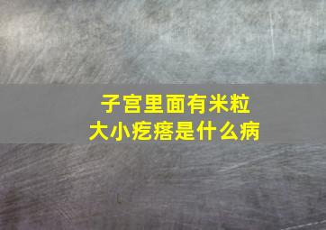 子宫里面有米粒大小疙瘩是什么病