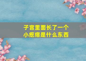 子宫里面长了一个小疙瘩是什么东西