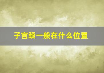 子宫颈一般在什么位置