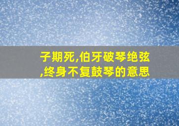 子期死,伯牙破琴绝弦,终身不复鼓琴的意思