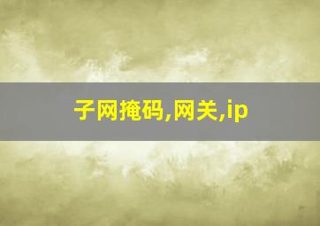 子网掩码,网关,ip