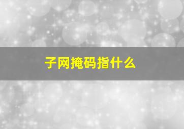 子网掩码指什么