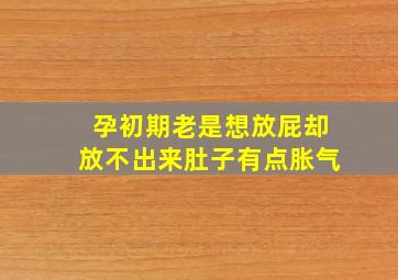 孕初期老是想放屁却放不出来肚子有点胀气