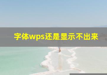 字体wps还是显示不出来