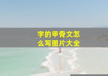 字的甲骨文怎么写图片大全