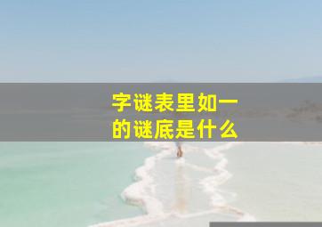 字谜表里如一的谜底是什么