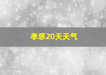 孝感20天天气