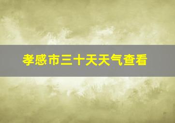 孝感市三十天天气查看