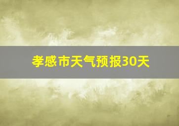 孝感市天气预报30天