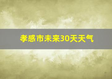 孝感市未来30天天气